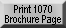 Print 1070 Brochure Page