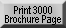 Print 3000 Brochure Page
