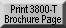 Print 3800-T Brochure Page