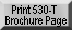 Print 530-T Brochure Page